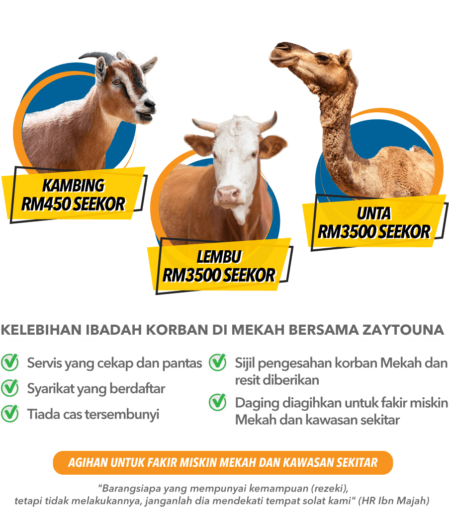 Korban Aqiqah Akikah Mekah Zaytouna